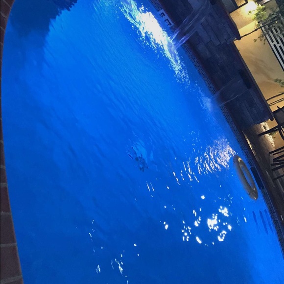 Meet your Posher, Bunny - Picture 1 of 1