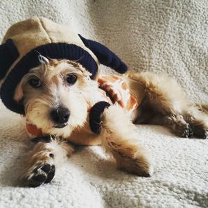 Meet your Posher, Rebekah