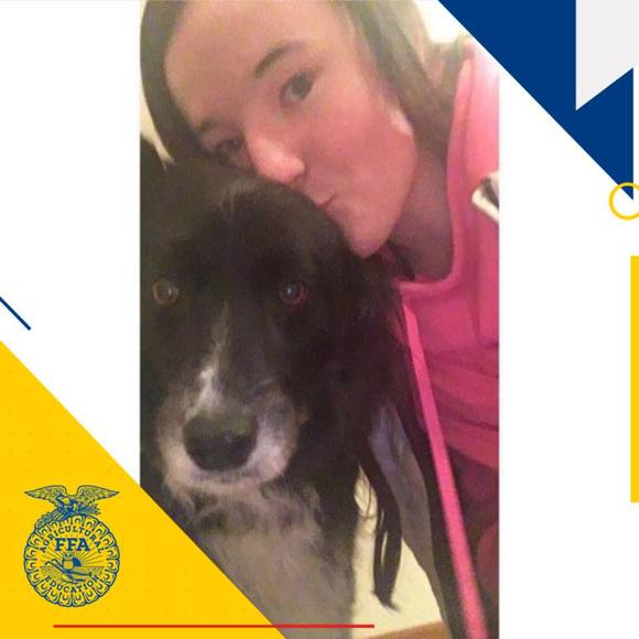 Meet your Posher, Gillian - Picture 1 of 1