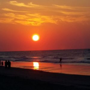 Meet your Posher, Vickie