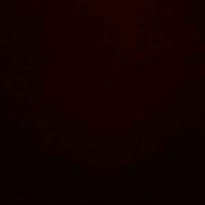 Meet your Posher, Charlotte