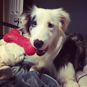 Meet your Posher, Zach