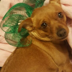 Meet your Posher, Judith