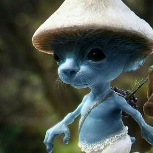 Meet your Posher, Arnetta