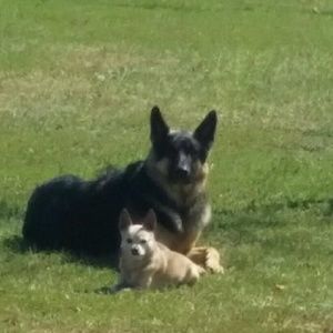 Meet your Posher, Michelle