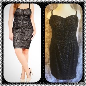Torrid Leopard Print Dress
