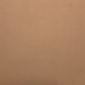 Meet your Posher, Chiquita