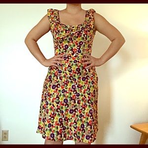 Ann Taylor Loft Dress