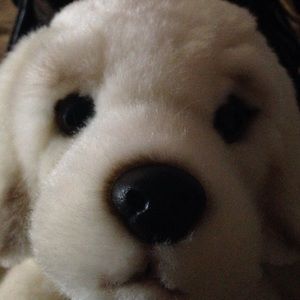 Meet your Posher, Connie