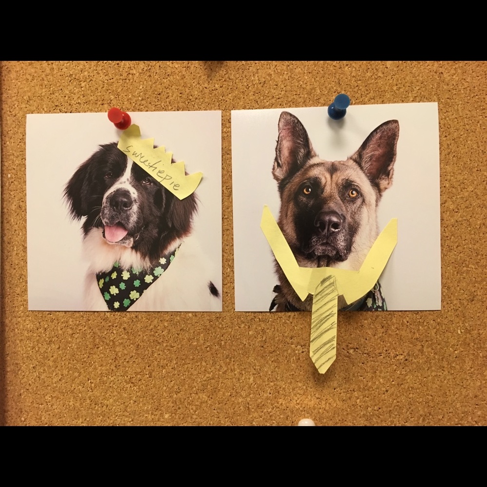 Meet your Posher, Marguerite