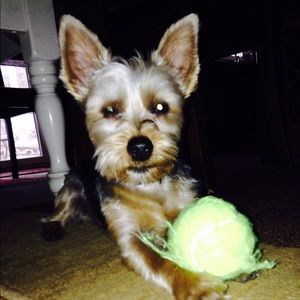 Meet your Posher, Kevin