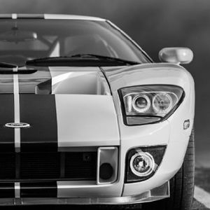 Meet your Posher, Bailey