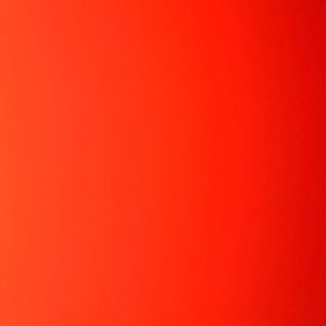 Meet your Posher, Madi