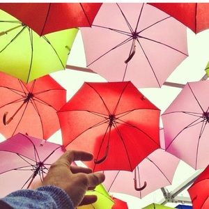 Meet your Posher, Johnson