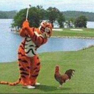 Meet your Posher, April