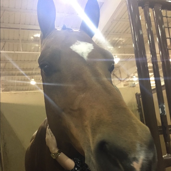 Meet your Posher, Maddie