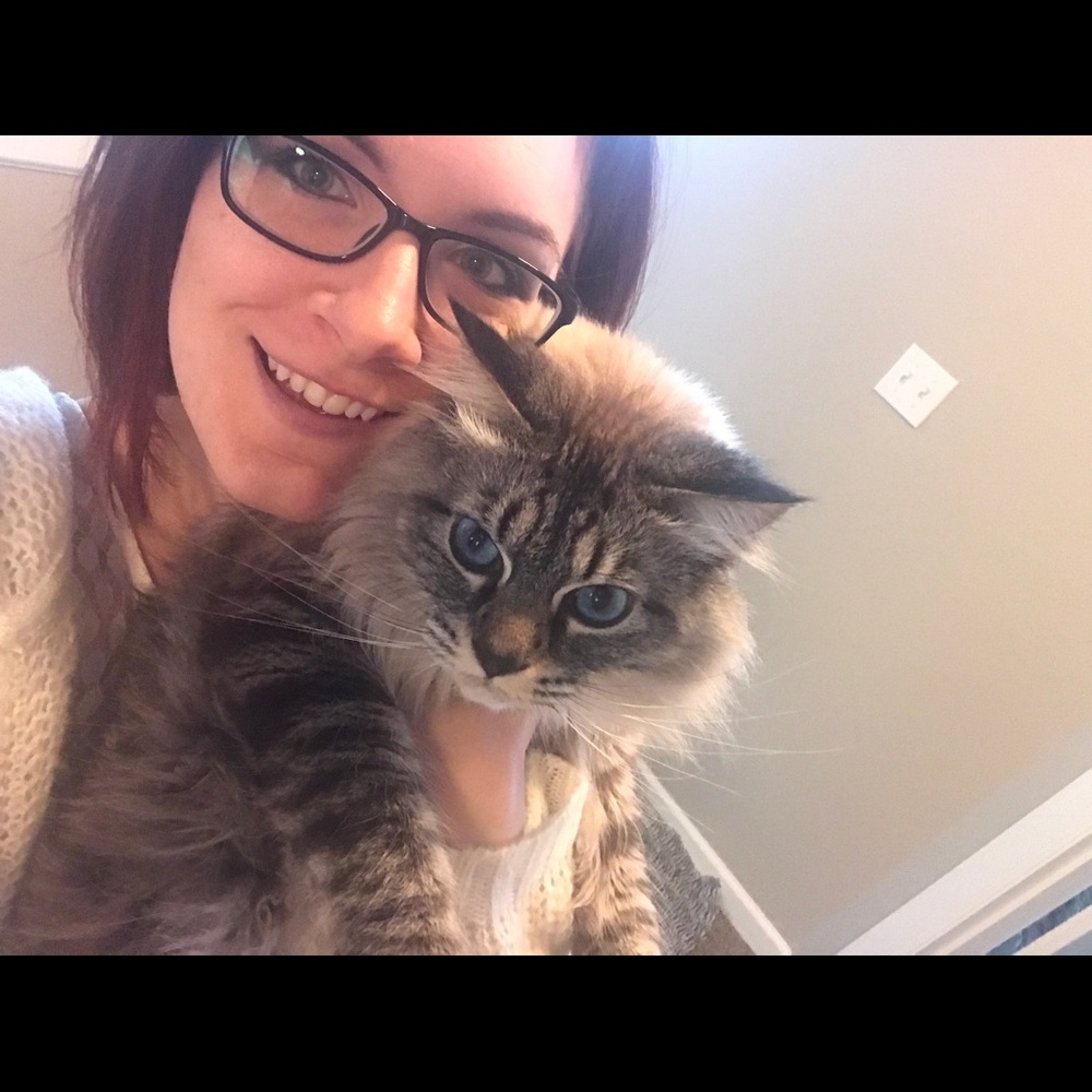 Meet your Posher, Bridgette