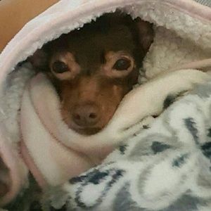 Meet your Posher, Joann