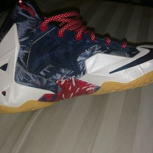 Lebron 11 4th of july