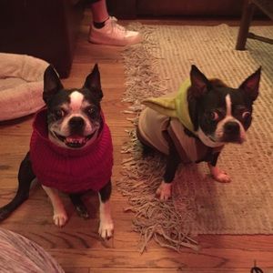 WE ARE POSH AMBASSADORS!