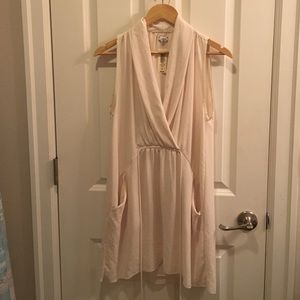 Aritzia Dress