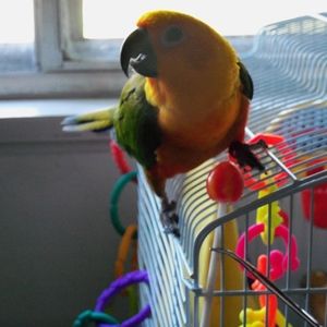 Meet your Posher, Anni