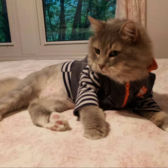 Meet your Posher, Tina - Picture 2 of 3