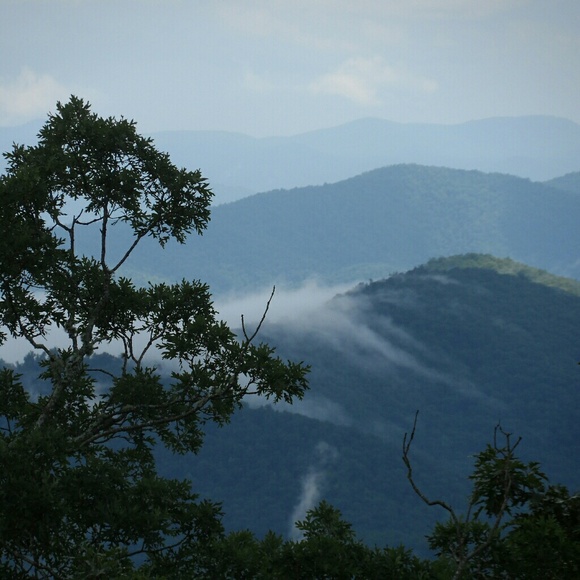 Meet your Posher, Tina - Picture 3 of 3