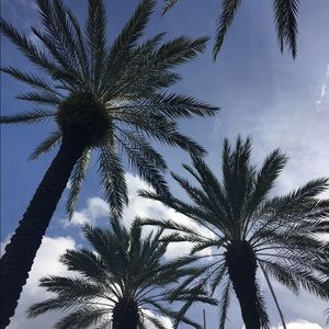 Meet your Posher, Kim