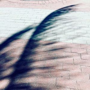 Meet your Posher, Juliane