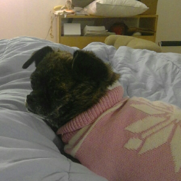 Meet your Posher, Eve - Picture 1 of 1