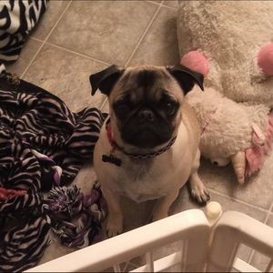 Meet your Posher, Stephanie