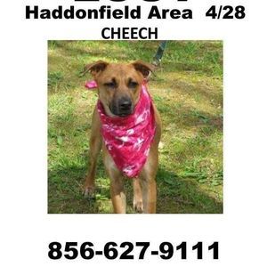 Meet your Posher, Barbara