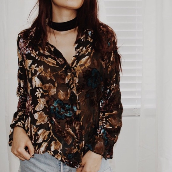 Vintage Sheer top with Velvet Detail.