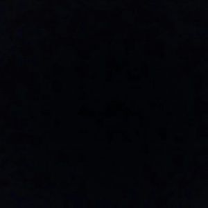 Meet your Posher, Bobby