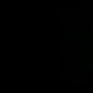 Meet your Posher, Dominique