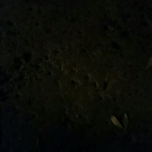 Meet your Posher, Gaby