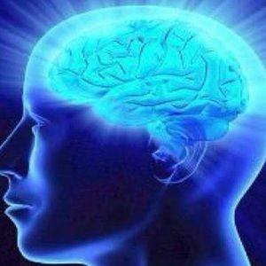 Meet your Posher, Jules