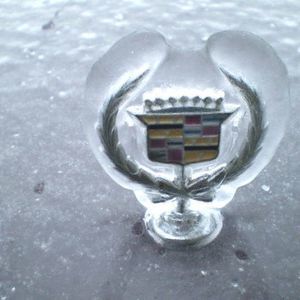 Meet your Posher, Darrell