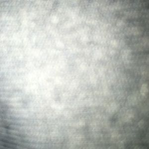 Meet your Posher, Shane