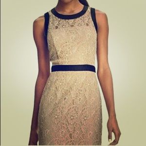 BCBG Lace Dress