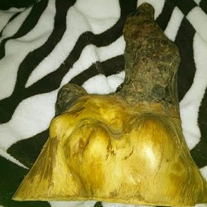 Cypress knee