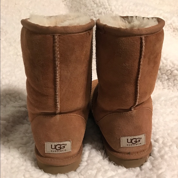 short classic chestnut UGGS (size 8)