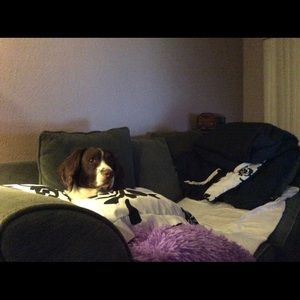 Meet your Posher, Julie