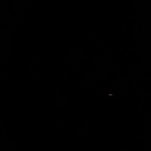 Meet your Posher, Ebony