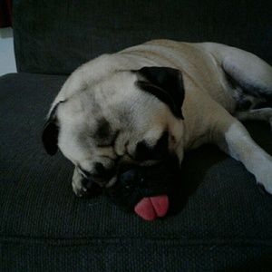 Meet your Posher, Gloria