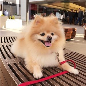 Meet your Posher, Jamie