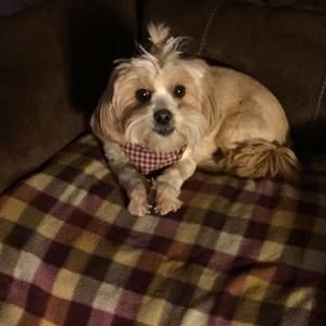 Meet your Posher, Connie