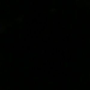 Meet your Posher, Brandy