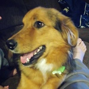 Meet your Posher, Laura